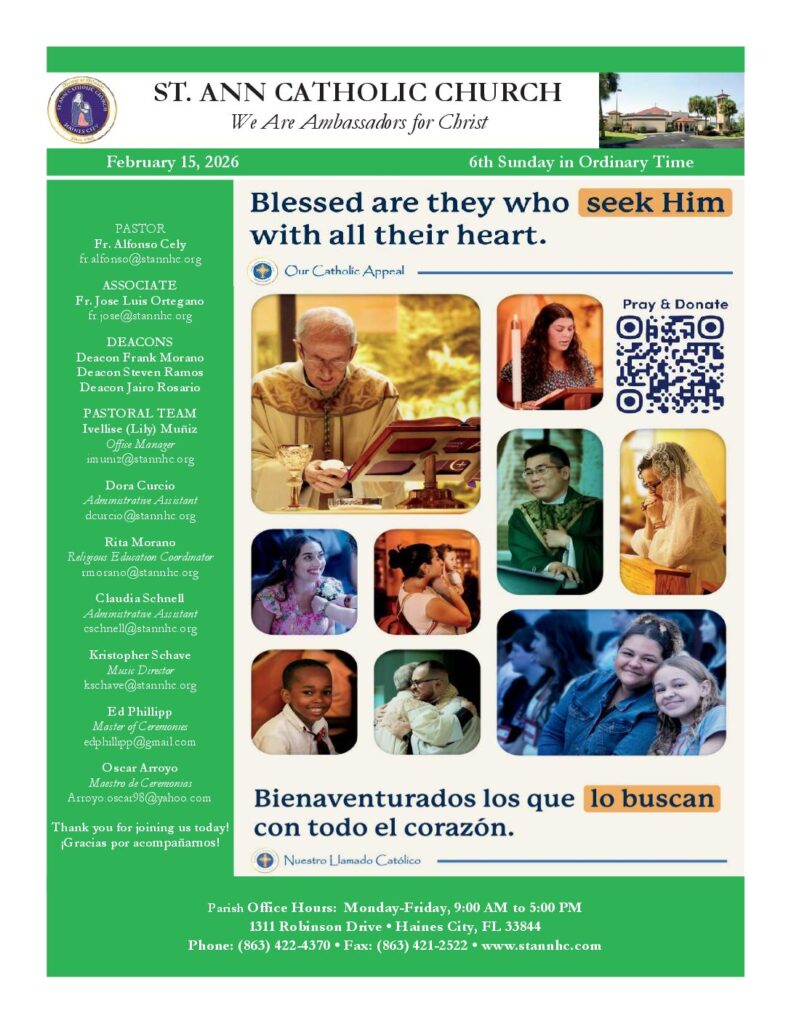 thumbnail of 2026-02-15